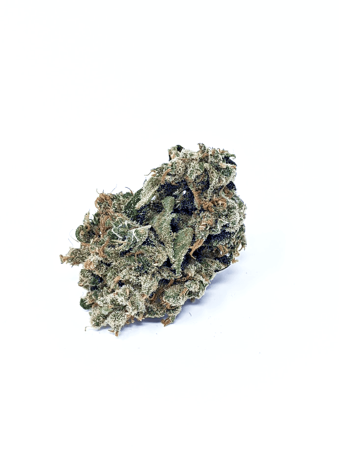 JackHerer
