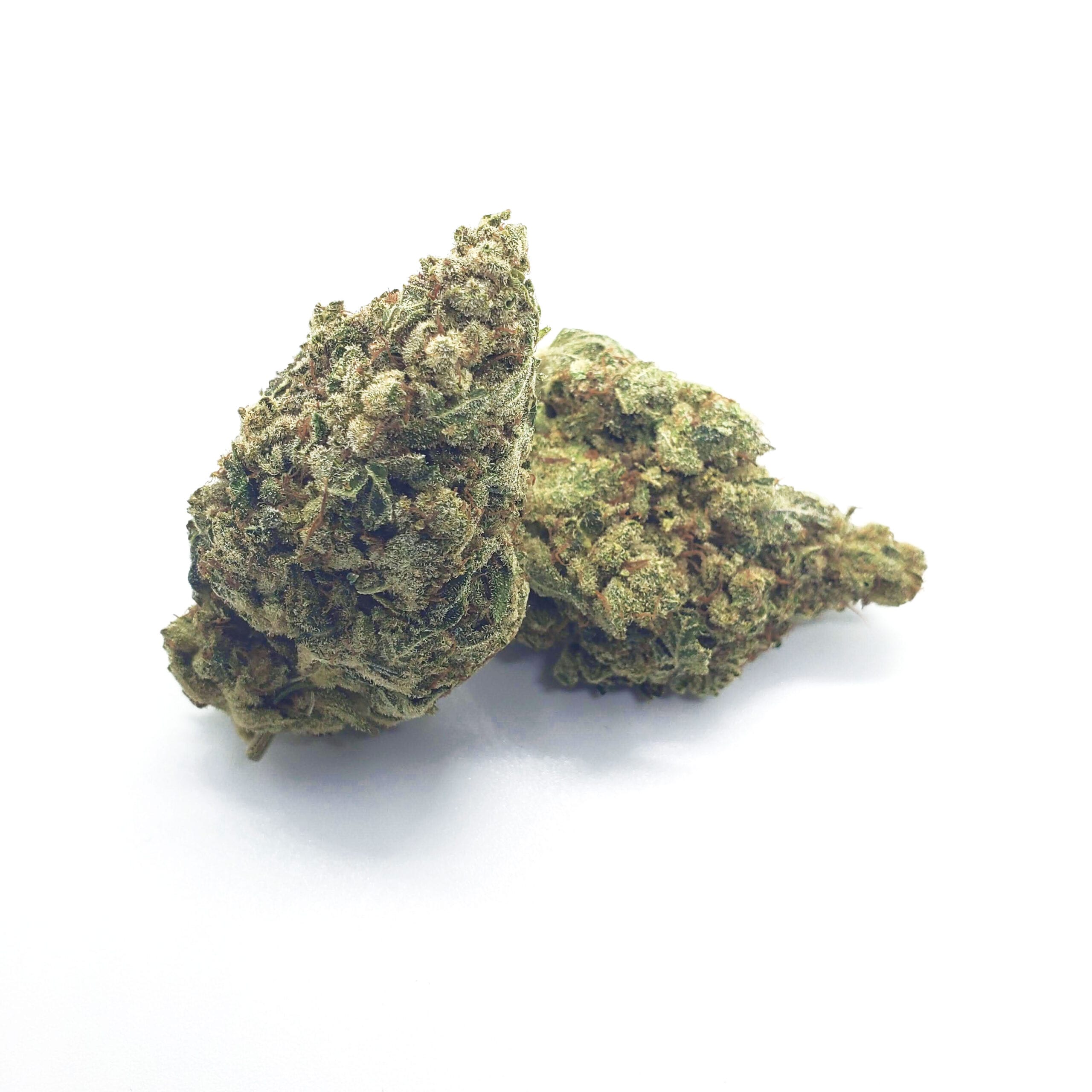 GorillaGlue11