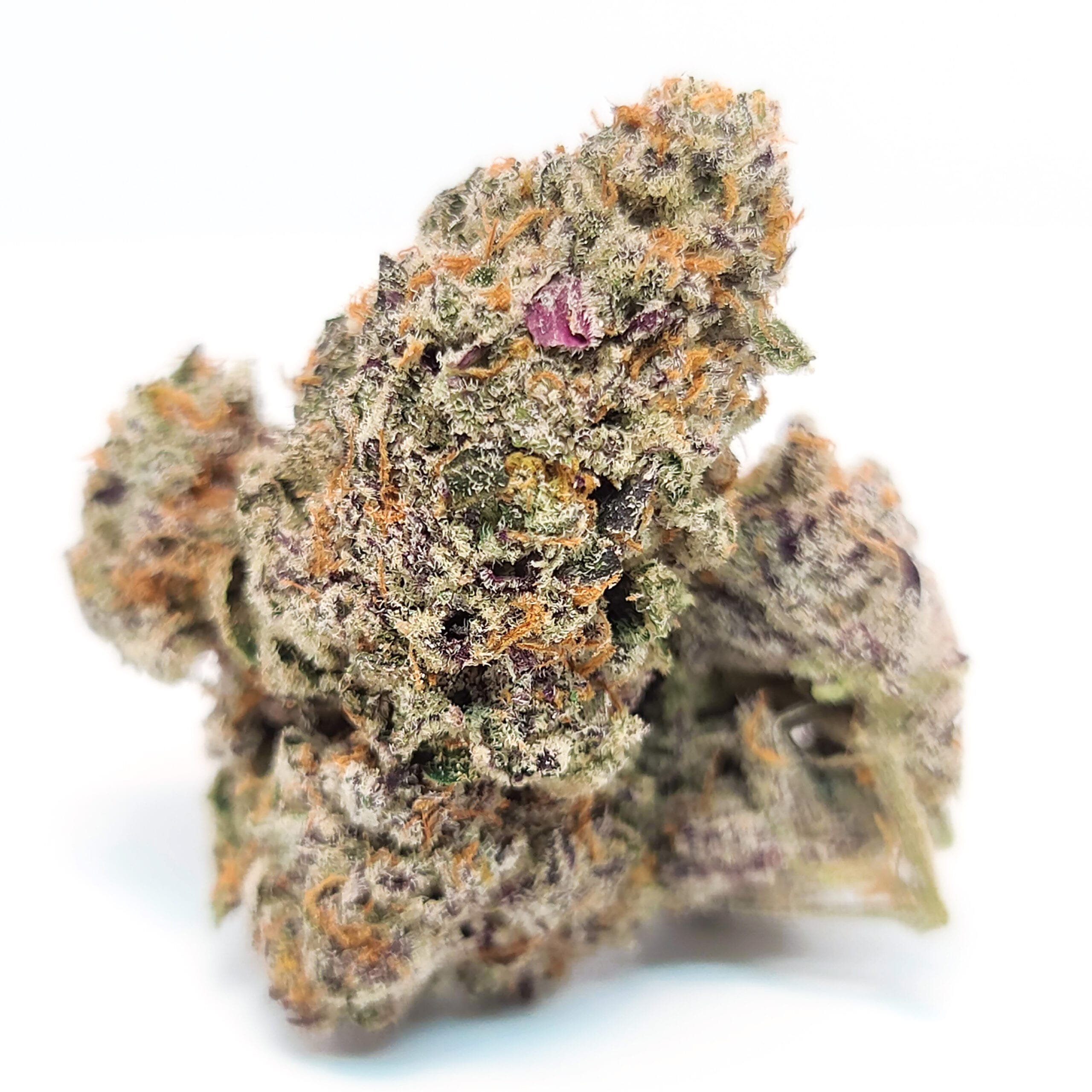 PurplePunch2