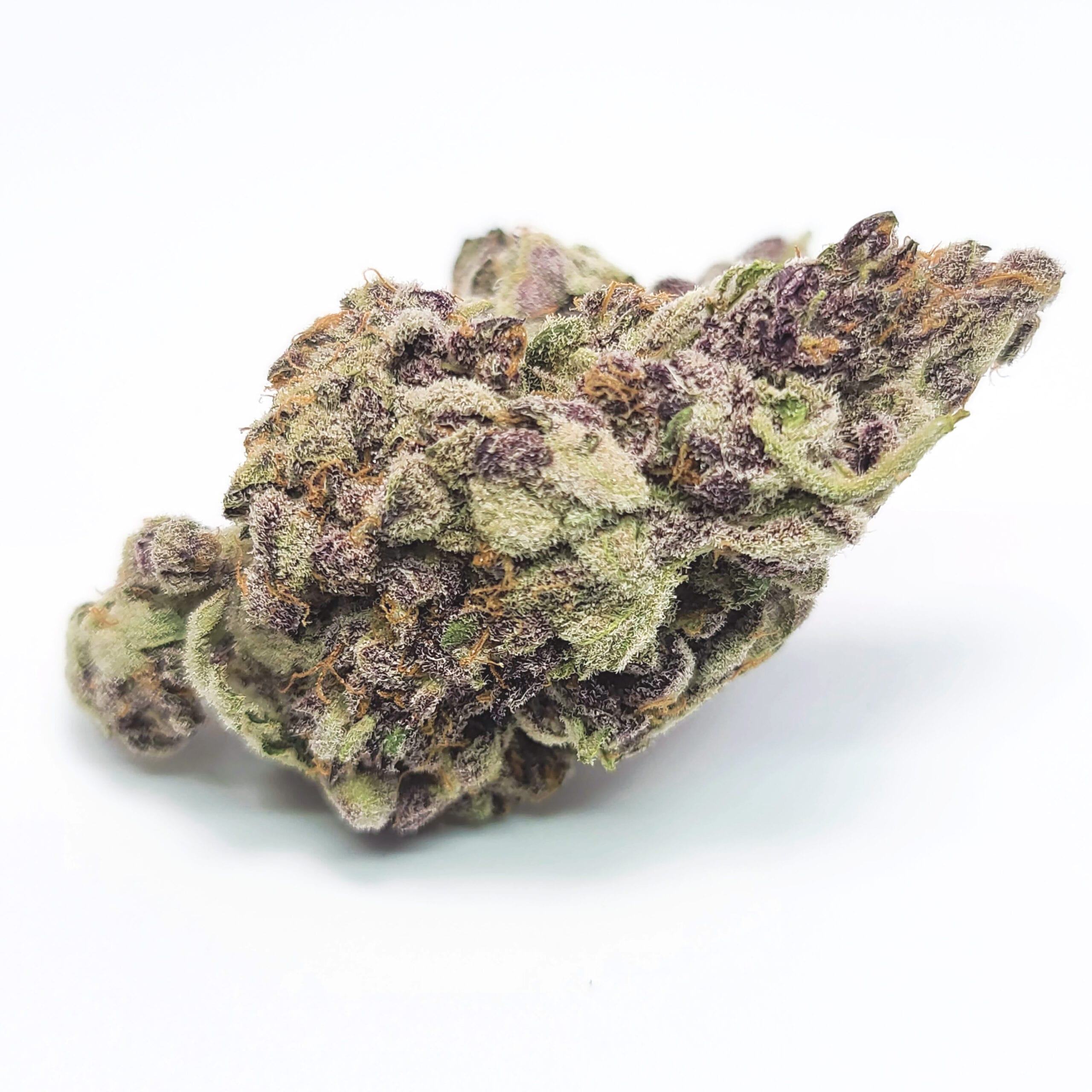 TropicanaCookies1