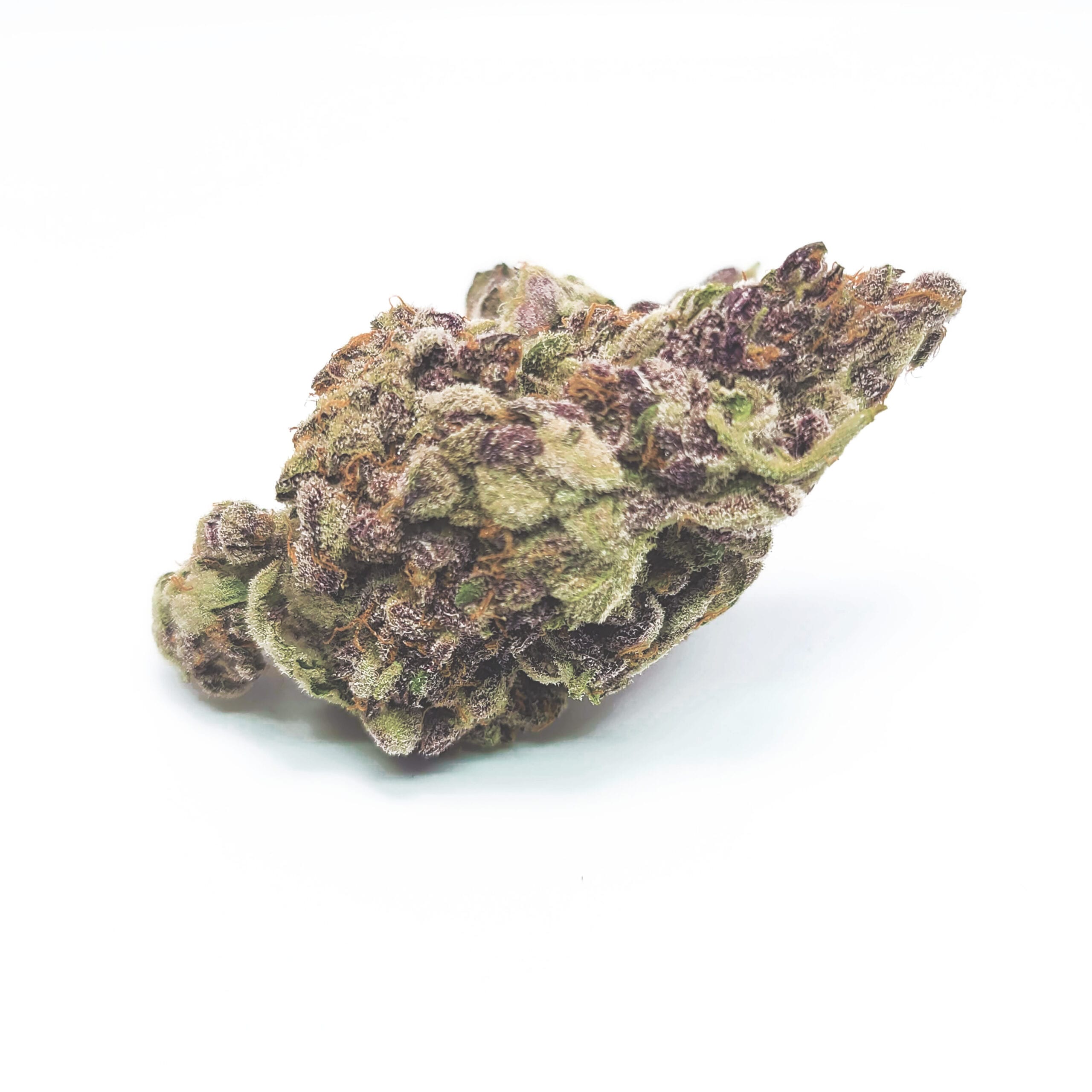 TropicanaCookies1