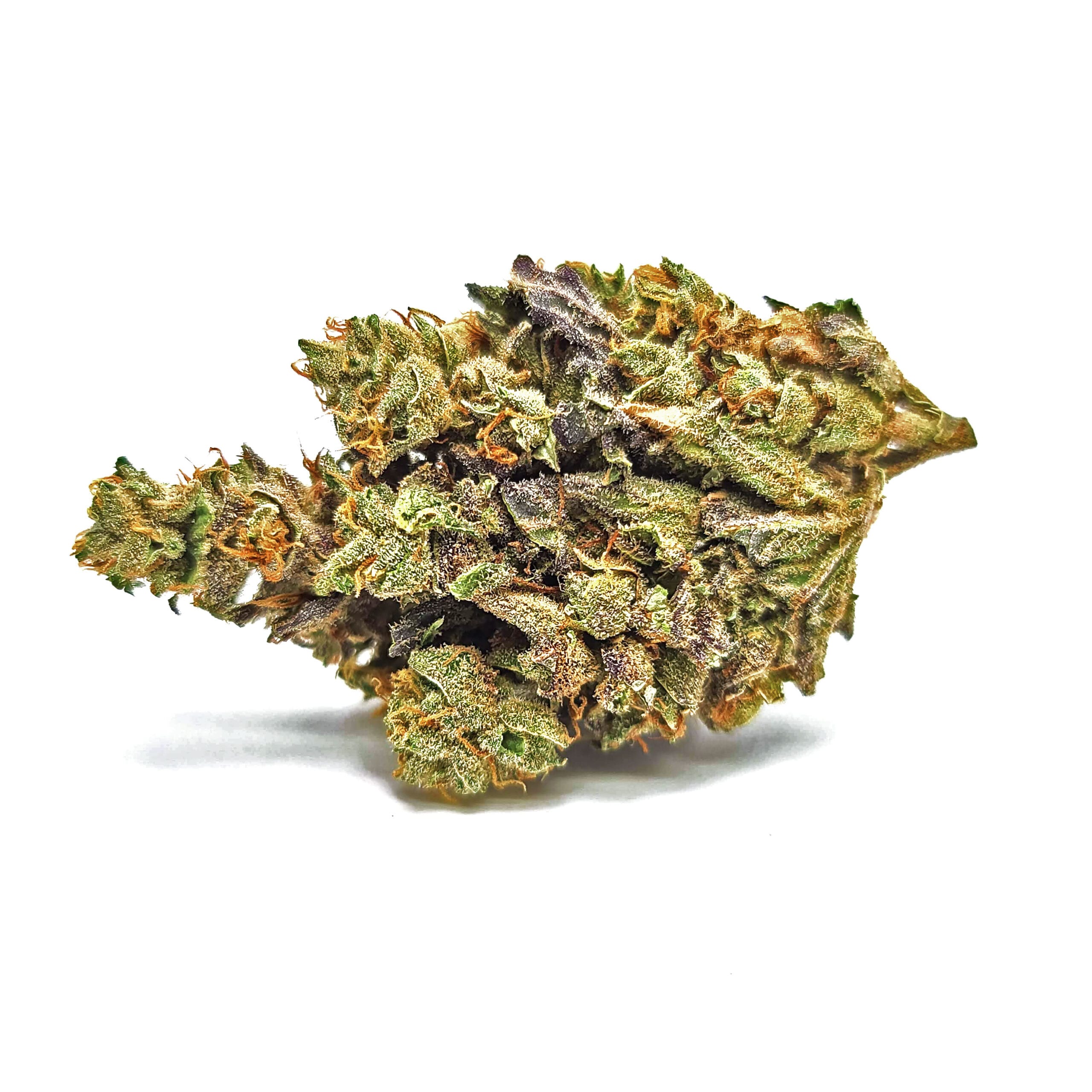 IslandSweetSkunk2