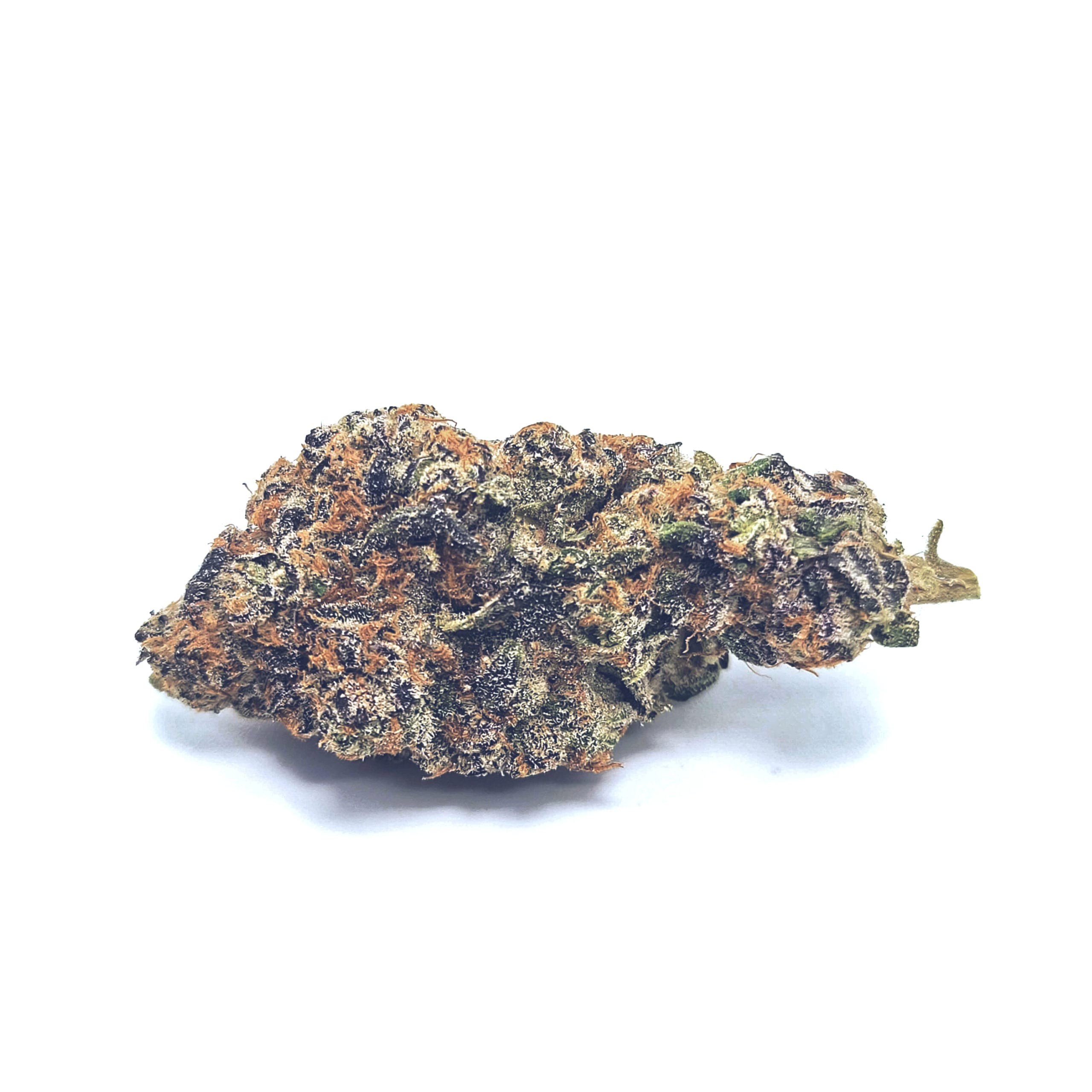 SophiesBreath-(1)