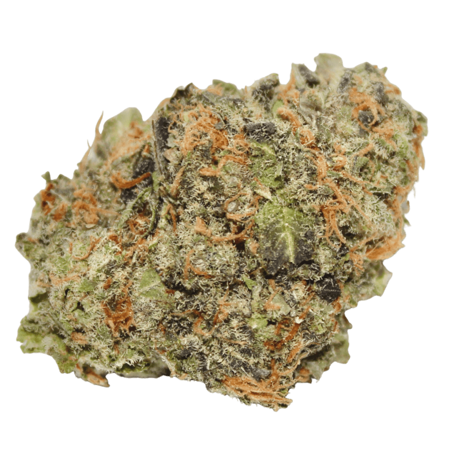 jungle apples