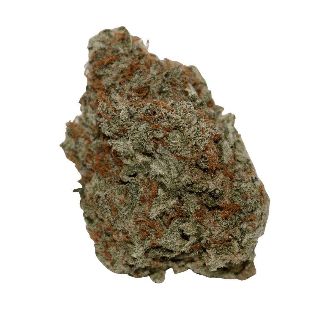 Acapolco Gold