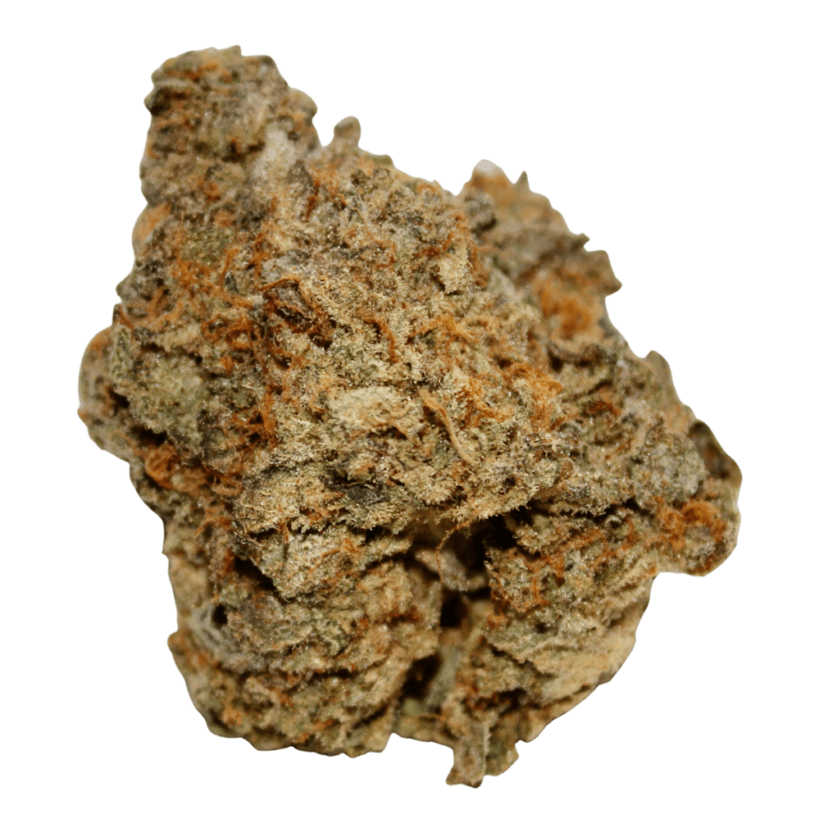Gelato 42