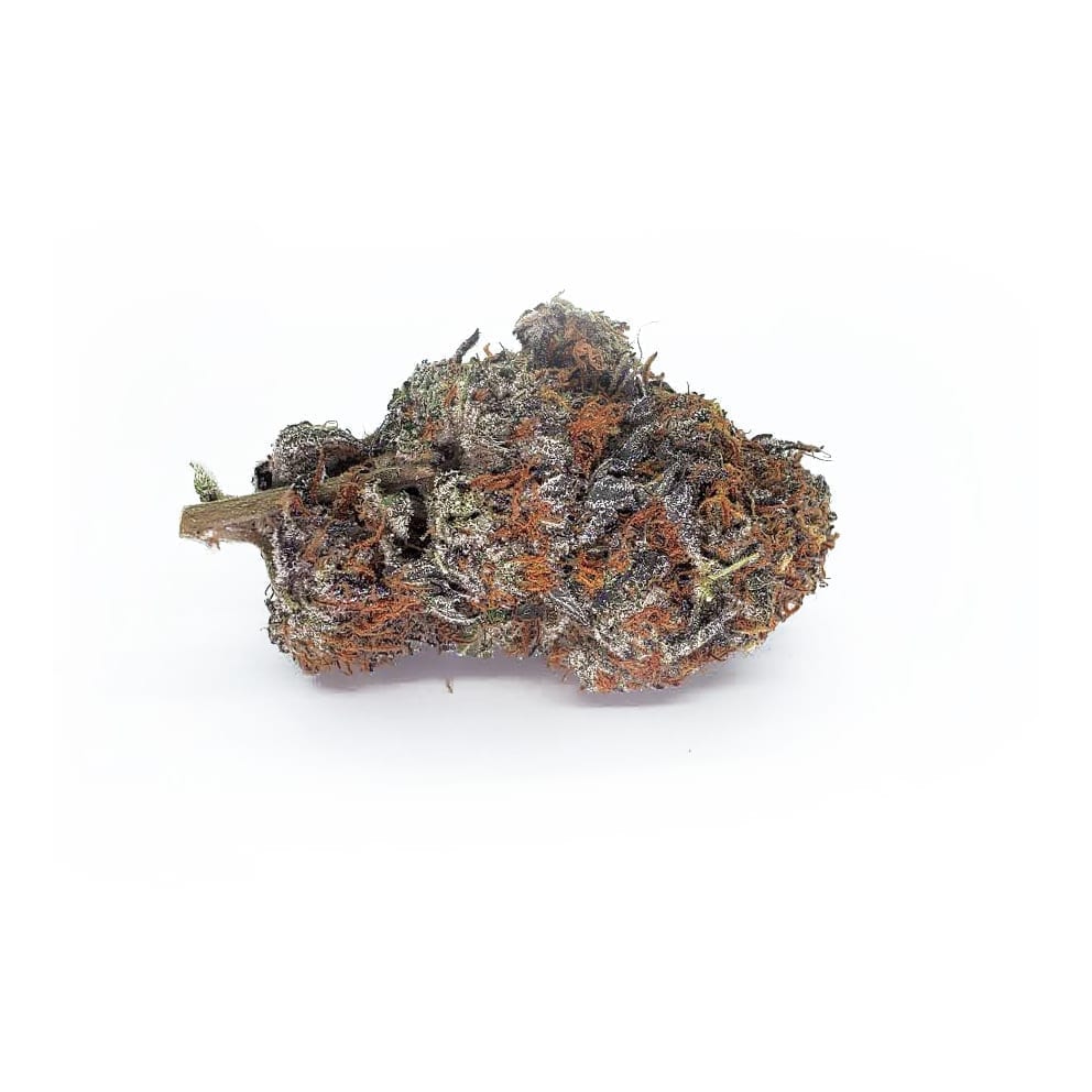 VanillaGorilla Vanilla Gorilla