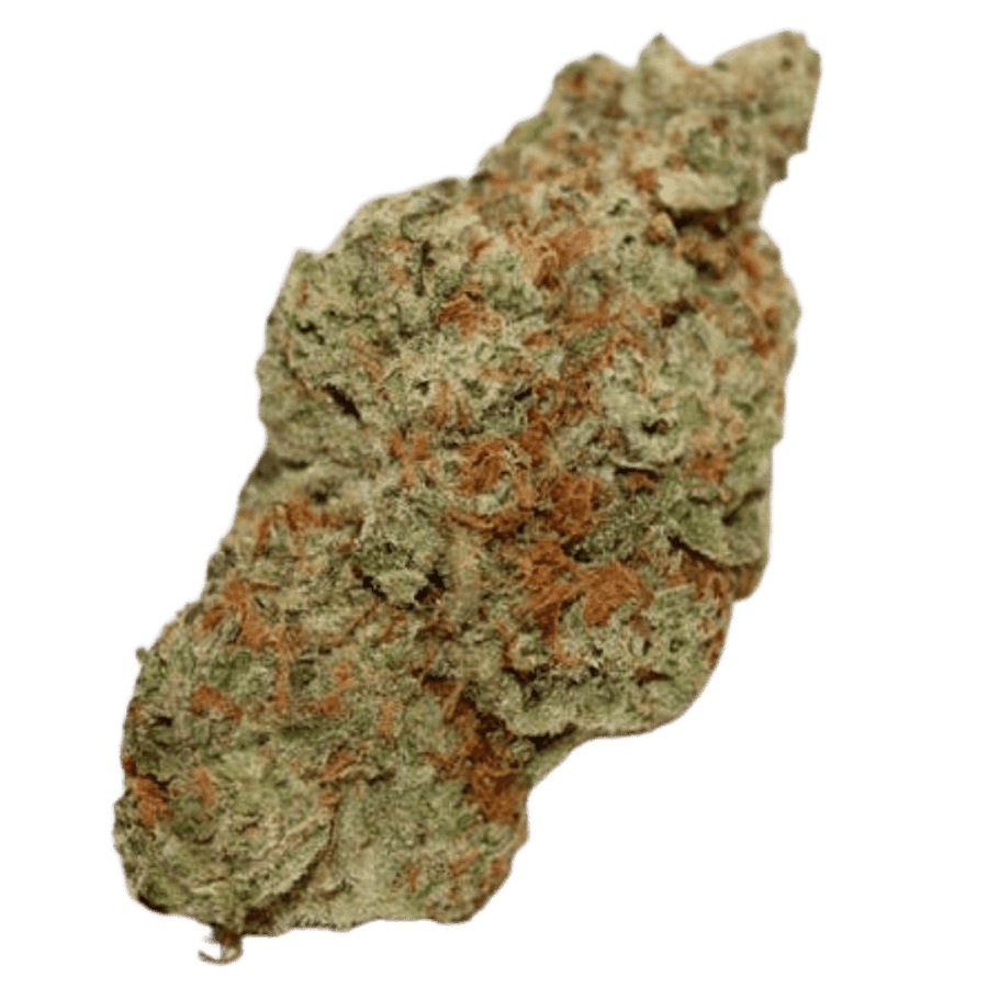 Animal Cookies