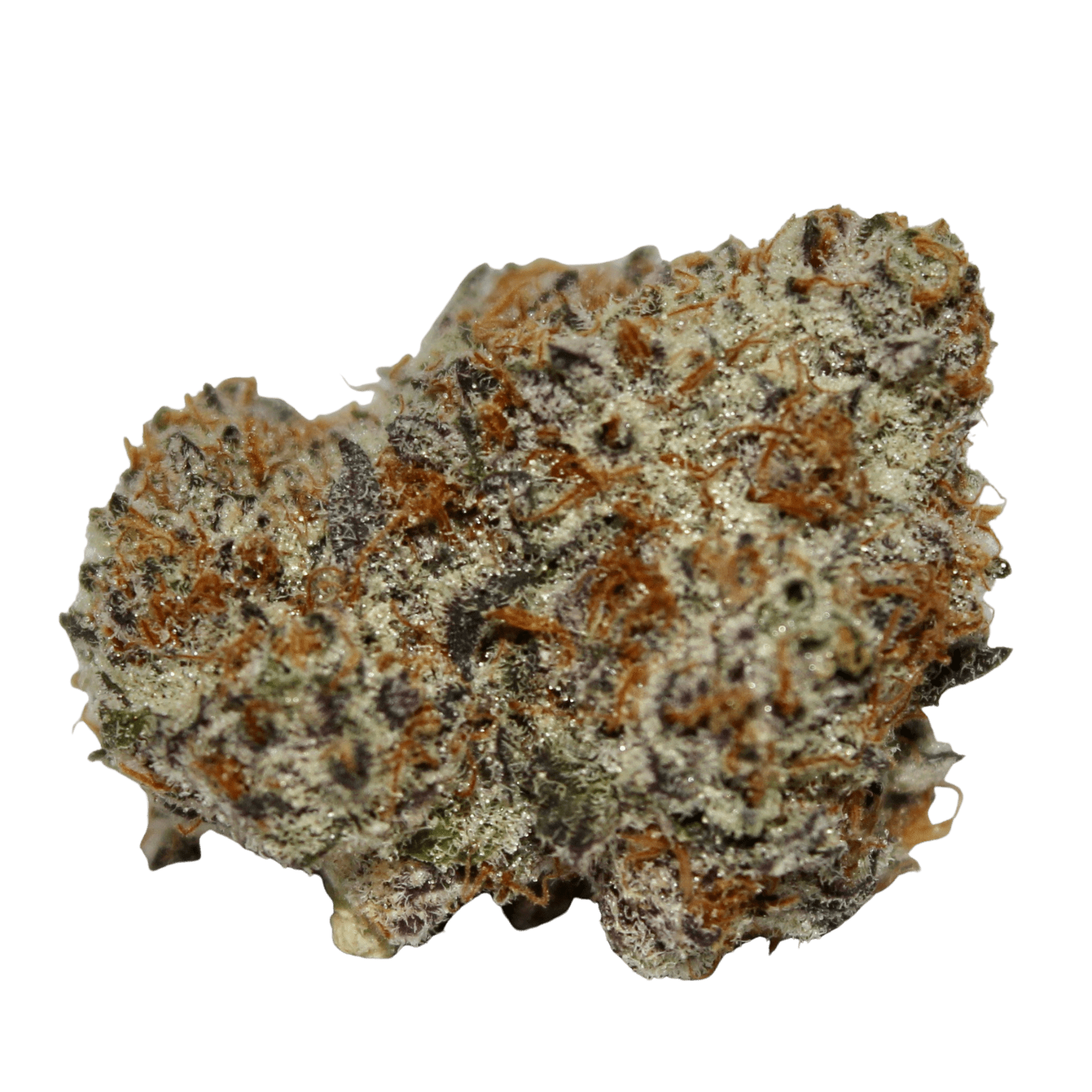Oreoz